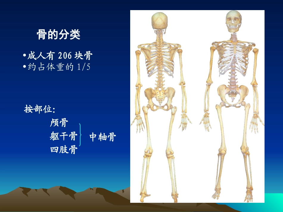 骨折概论 (1)_第3页