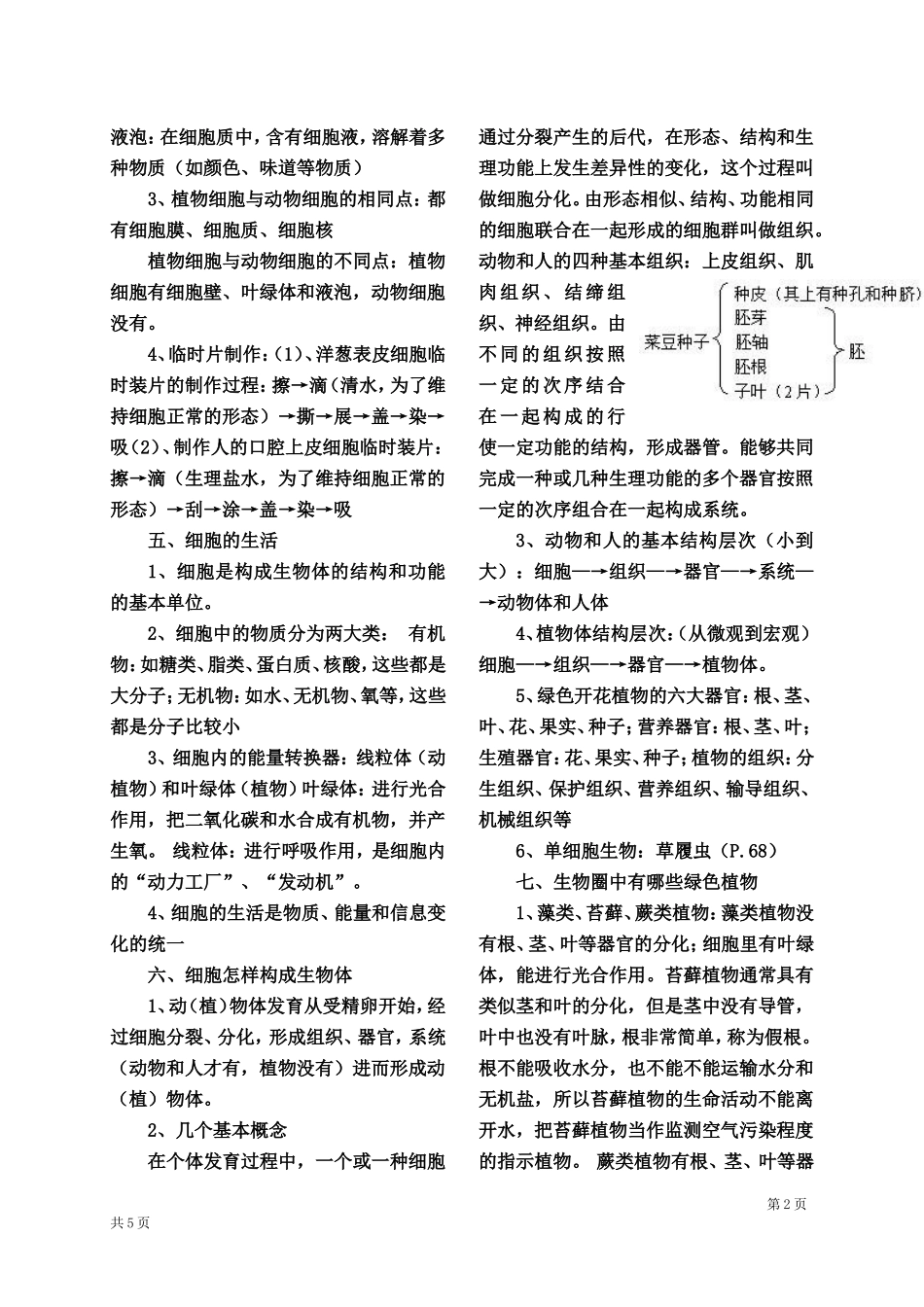 2013最新人教版七年级生物上册复习资料_第3页