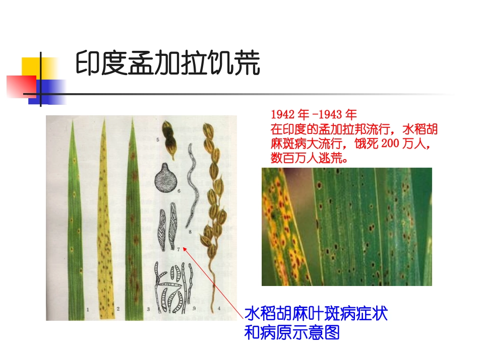 植物保护学通论——植物病害分析_第3页