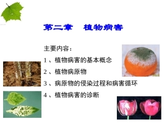 植物保护学通论——植物病害分析