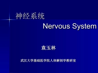 神经系统-药学13ppt