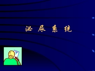 泌尿系统影像讲义