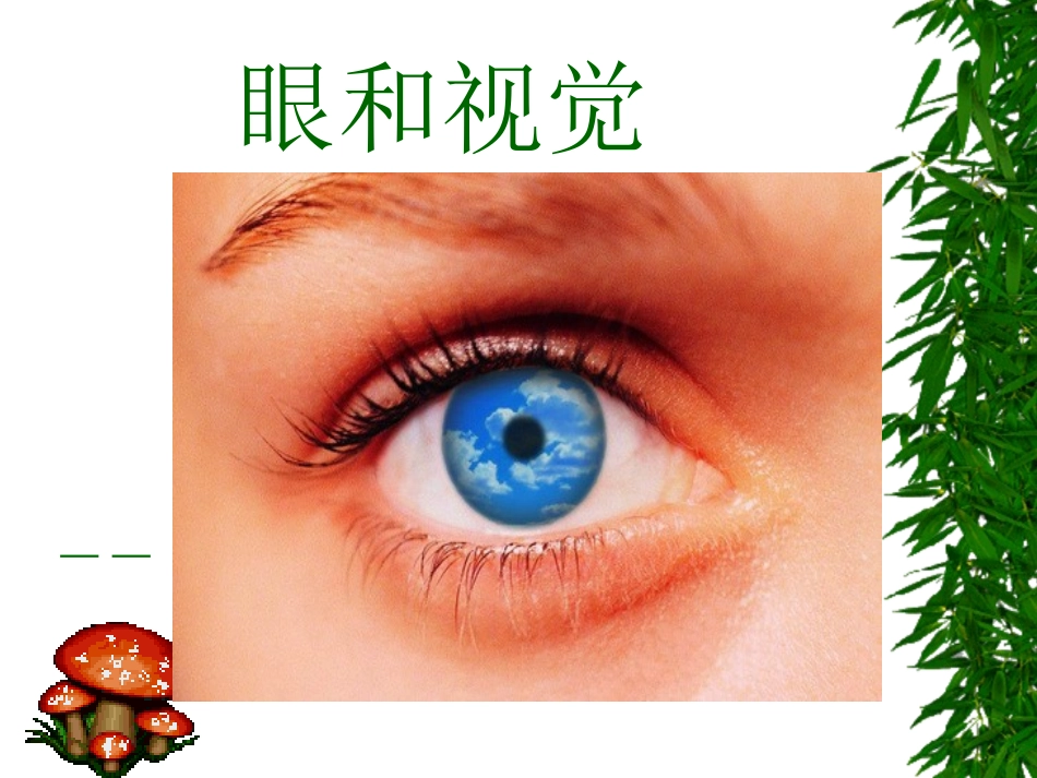 眼与视觉-2_第2页