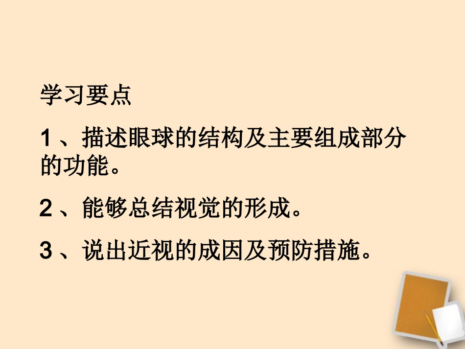 眼与视觉-2_第3页