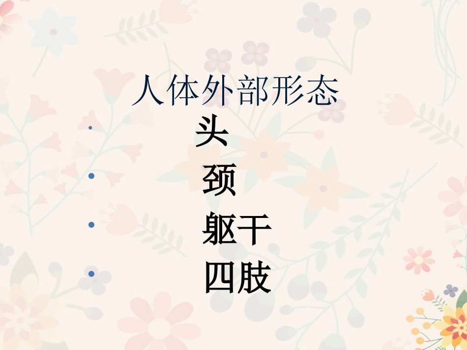 人体的外部结构_第1页