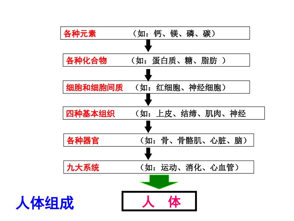 细胞和细胞间质ppt_第2页