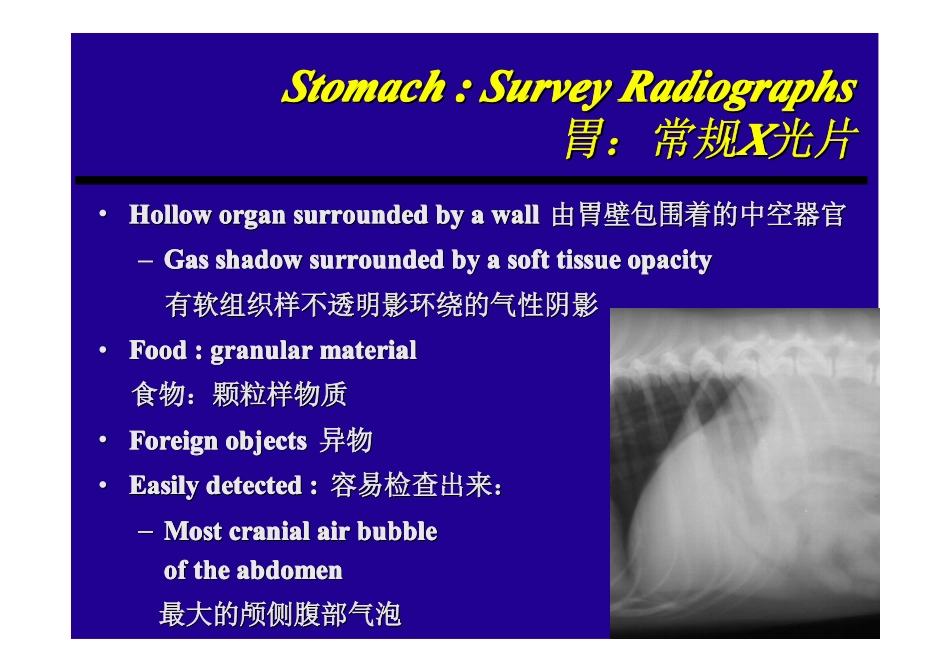 消化系统x光_第3页