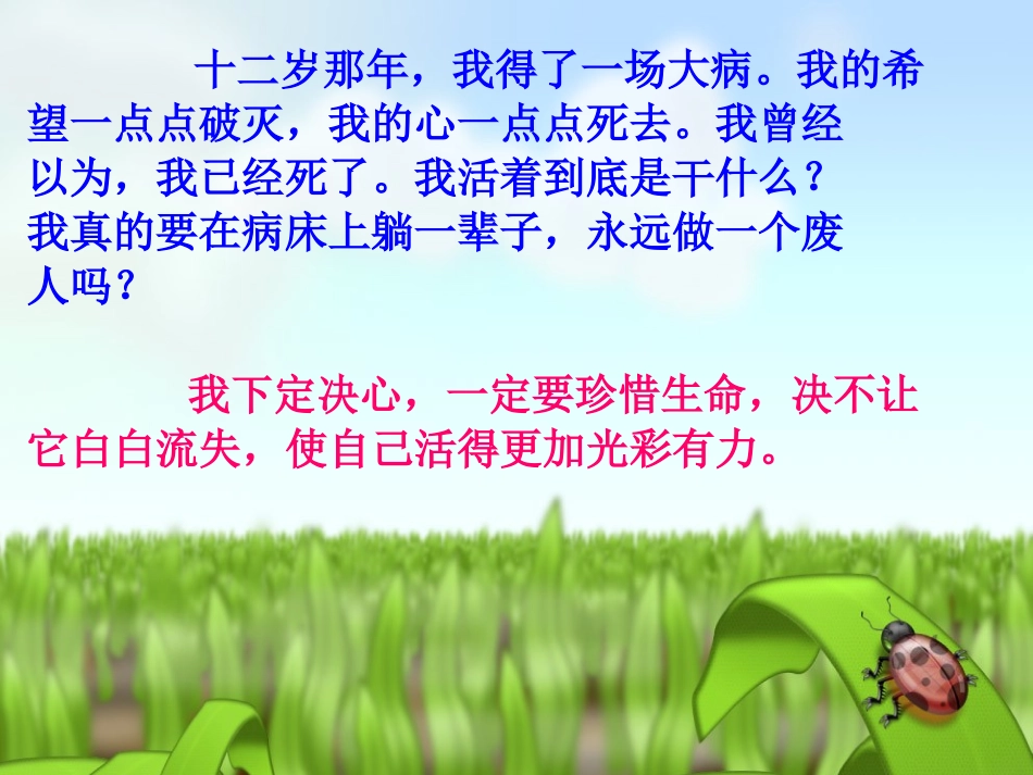 人教四下《19　生命生命》课件2_第3页