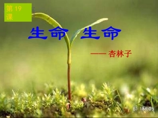 人教四下《19　生命生命》课件2