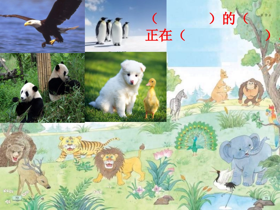 (苏教版)二年级语文下册课件_识字6_1各种动物_第3页