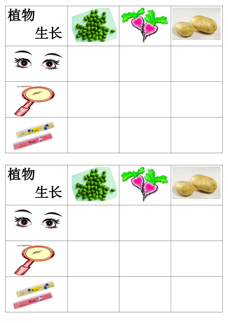 植物生长调查表_第1页