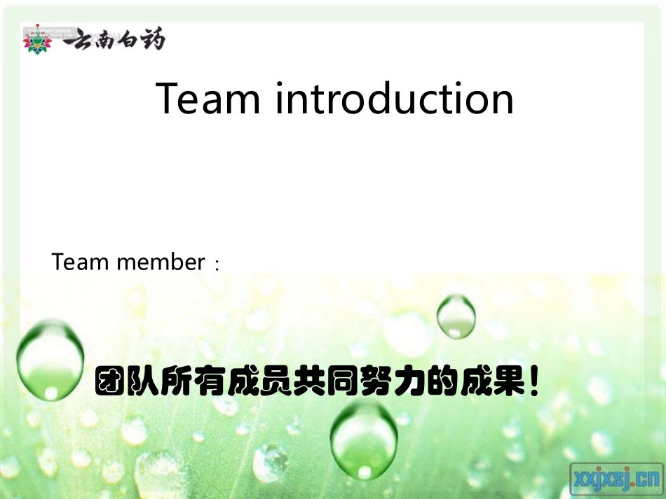 云南白药案例分析动态PPT_第1页