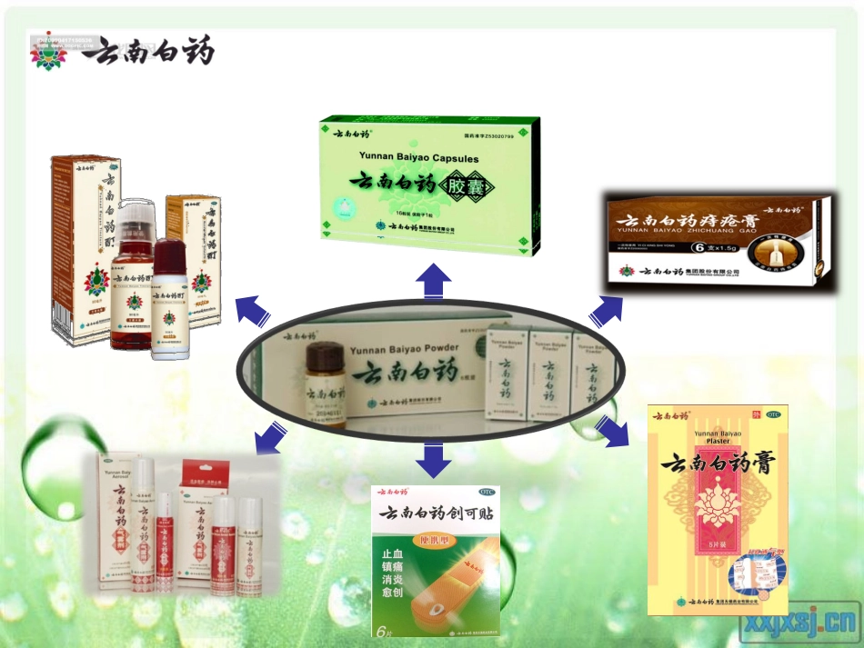云南白药案例分析动态PPT_第3页