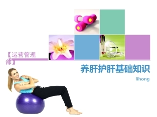 养肝护肝基础知识-lihong