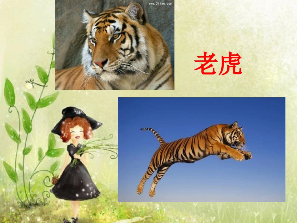 《黑白线条画》2_第3页