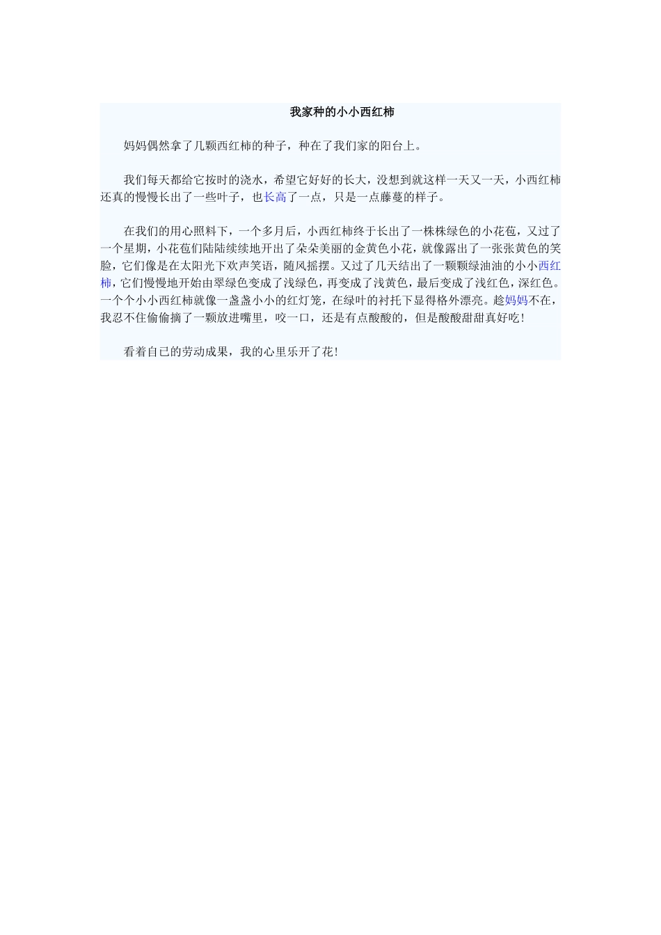 我家种的小小西红柿_第1页