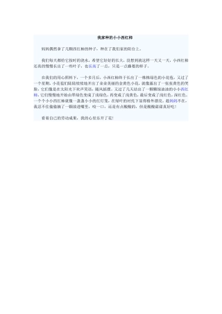 我家种的小小西红柿
