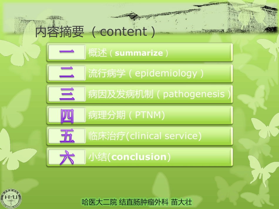 肛管直肠恶性黑色素瘤_第3页