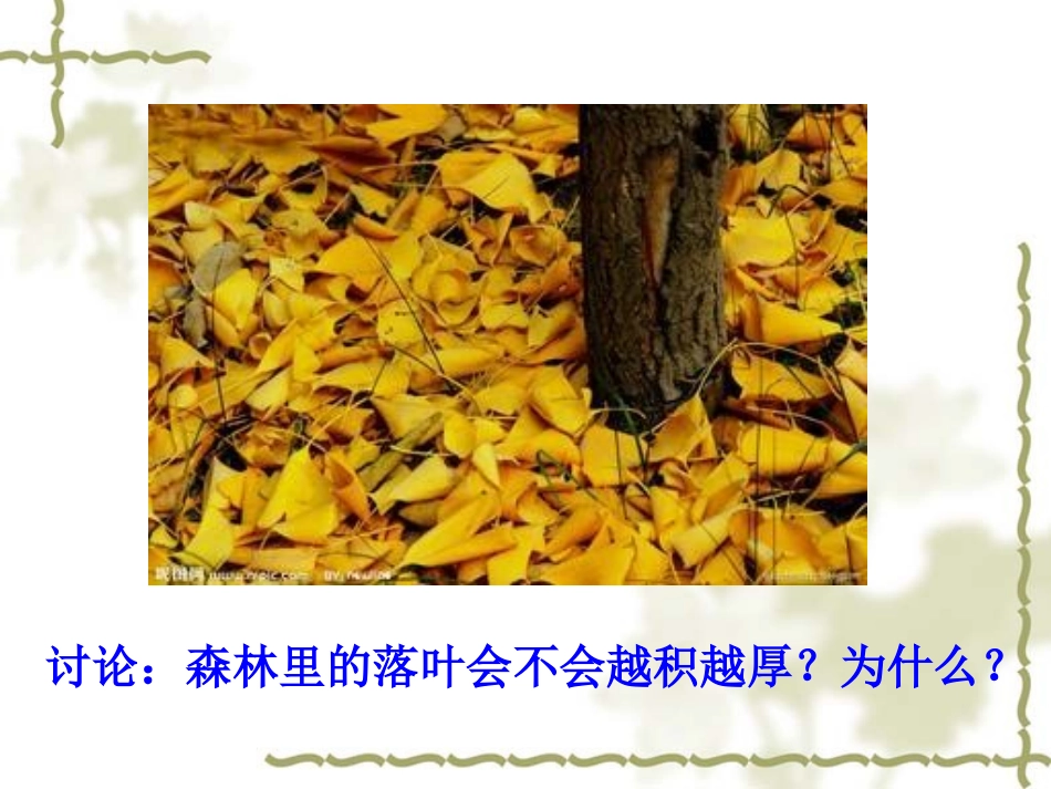 细菌和真菌在自然界中的作用 (2)_第2页