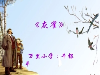 《灰雀说课》