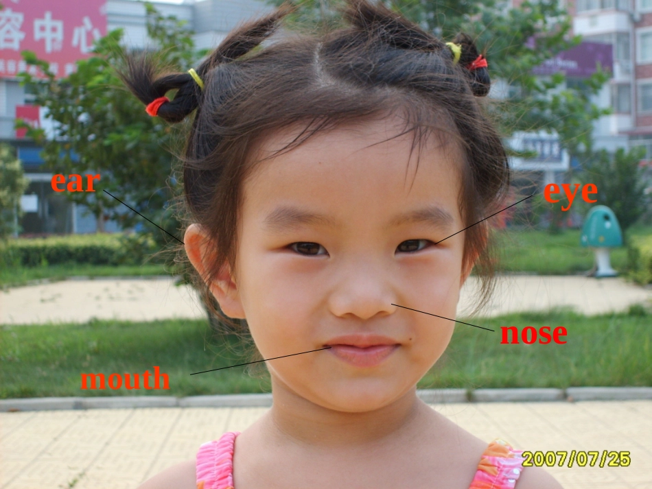 七年级上册第3单元1718课_第2页