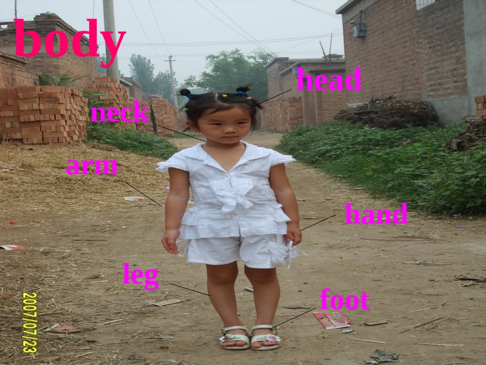 七年级上册第3单元1718课_第3页