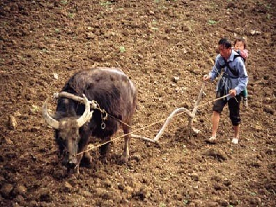 《农业的变化真大》课件(小学语文二年级上册课件)[1]_第2页