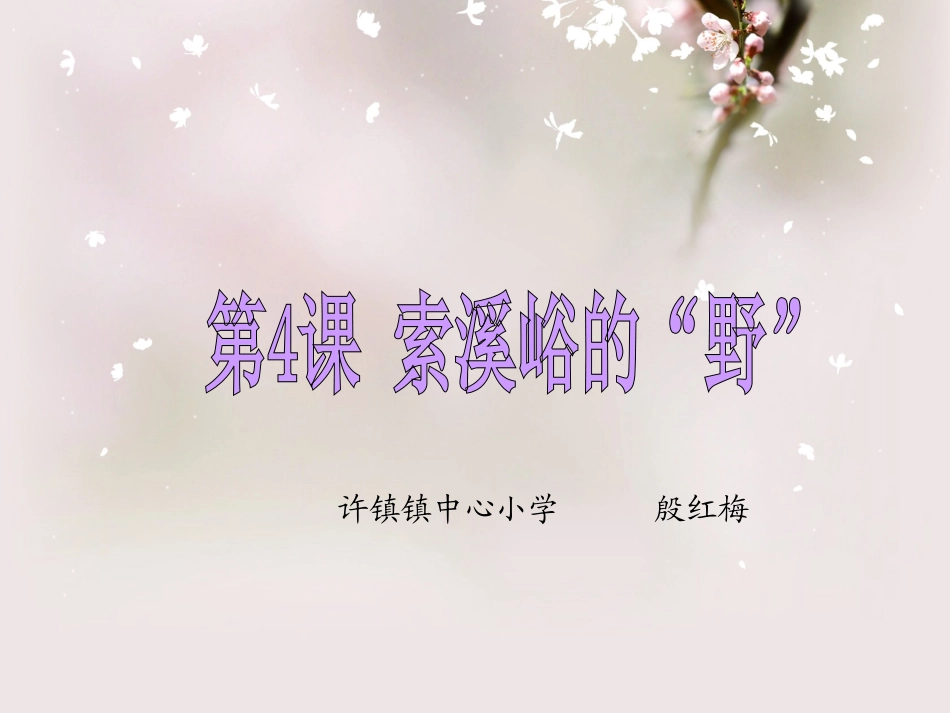 索溪峪的野作业_第1页