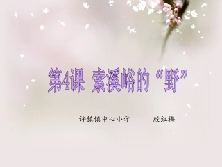 索溪峪的野作业
