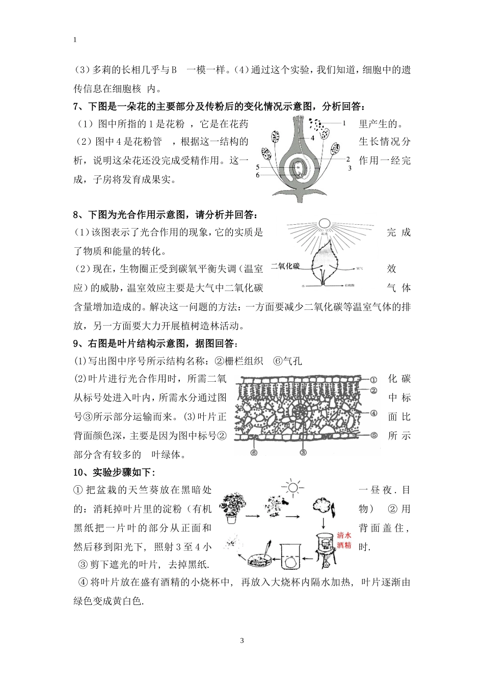 2013-2014生物七年级生物上册复习最新资料识图题库及答案_第3页