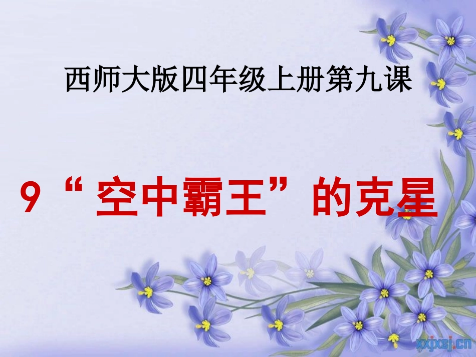 空中霸王的克星_第1页