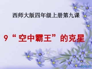 空中霸王的克星