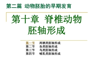 第10章 脊椎动物胚轴形成