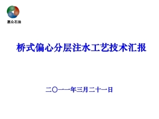 桥式偏心分层注水工艺技术汇报