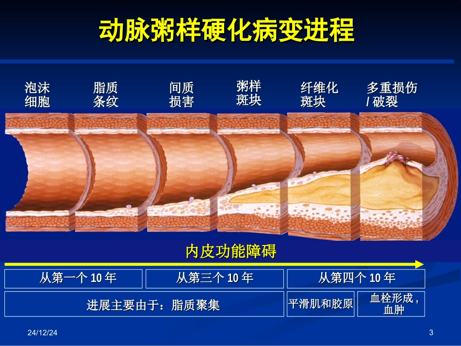 冠状动脉粥样硬化性心脏病2013第八版_第3页