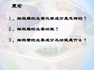 细胞器--系统内的分工合作(公开课)