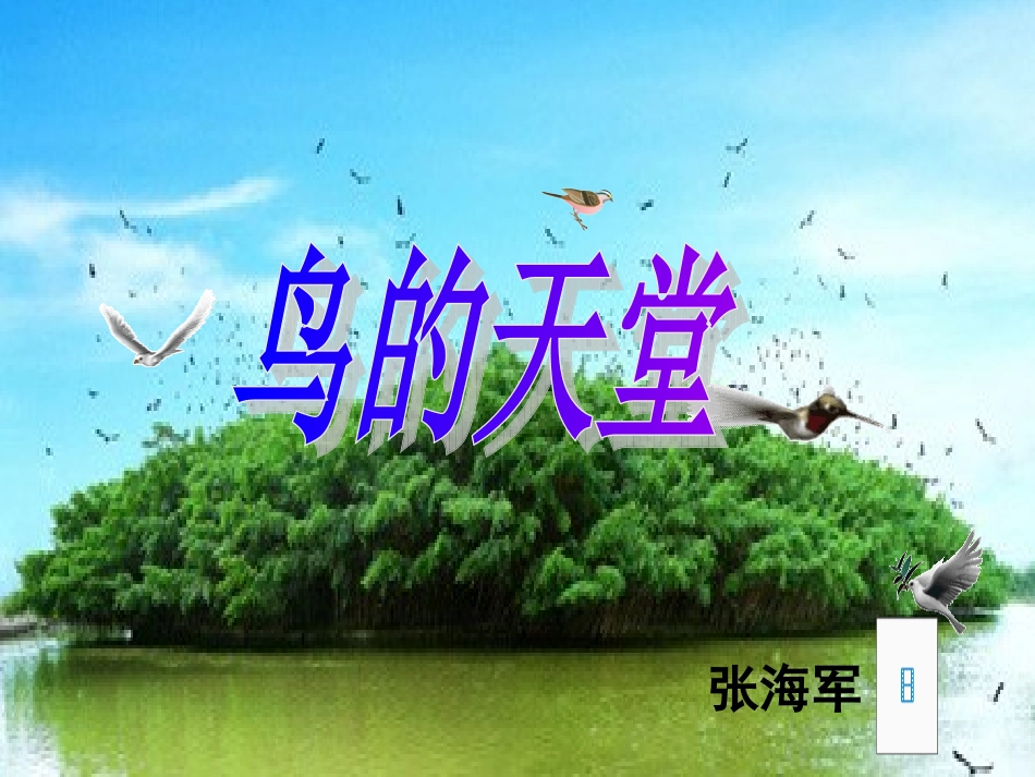 鸟的天堂课件张海军_第1页
