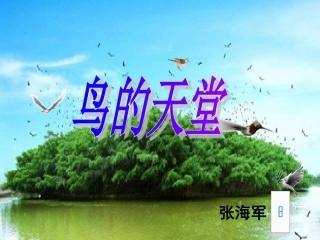 鸟的天堂课件张海军