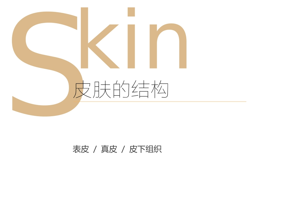 皮肤保养的一些知识介绍_第3页