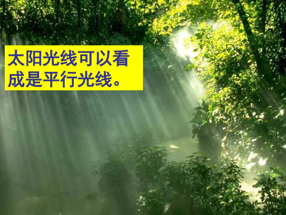 相似三角形的应用举例_第3页