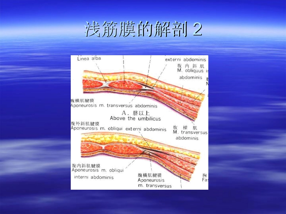 臀肌筋膜炎powerpoint资料_第3页