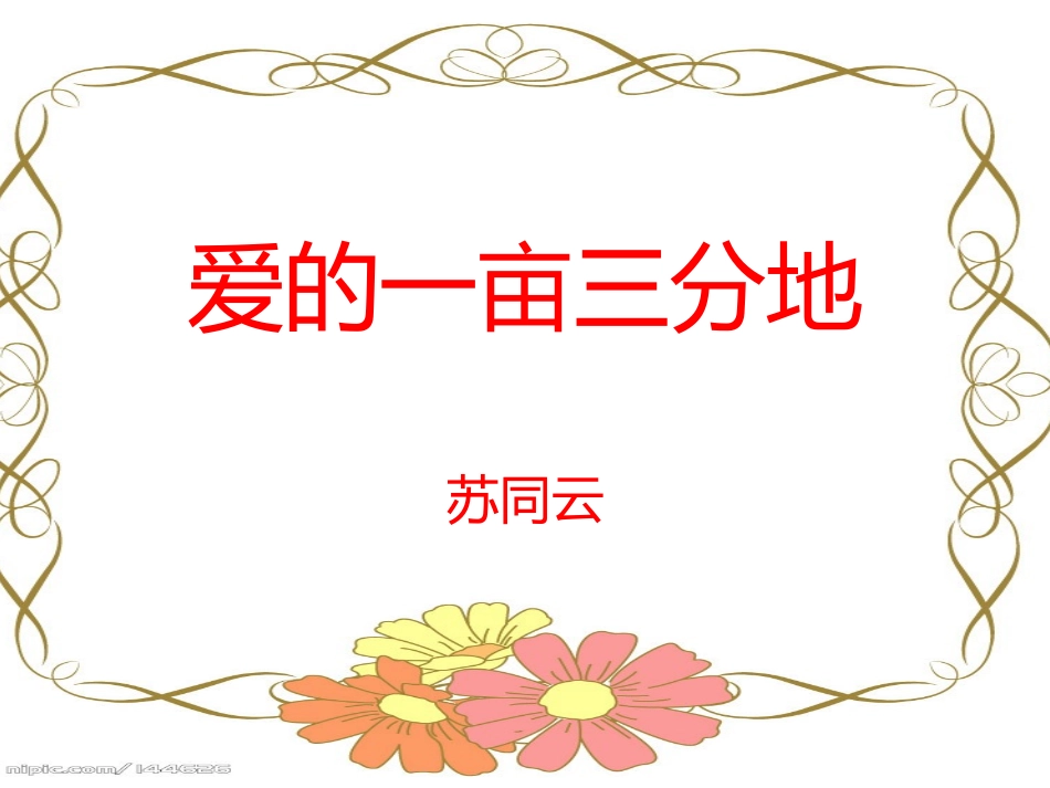 爱的一亩三分地_第1页