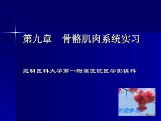 实习一--骨与关节正常表现