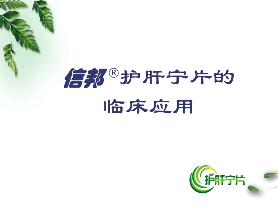 信邦护肝宁片科会2013.pptx_第2页