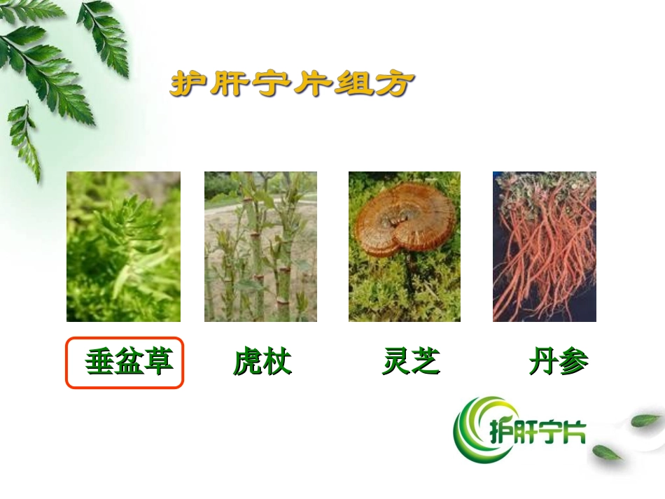 信邦护肝宁片科会2013.pptx_第3页