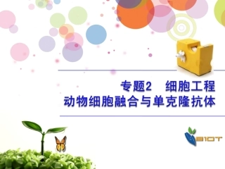 优质课动物细胞融合与单克隆抗体用