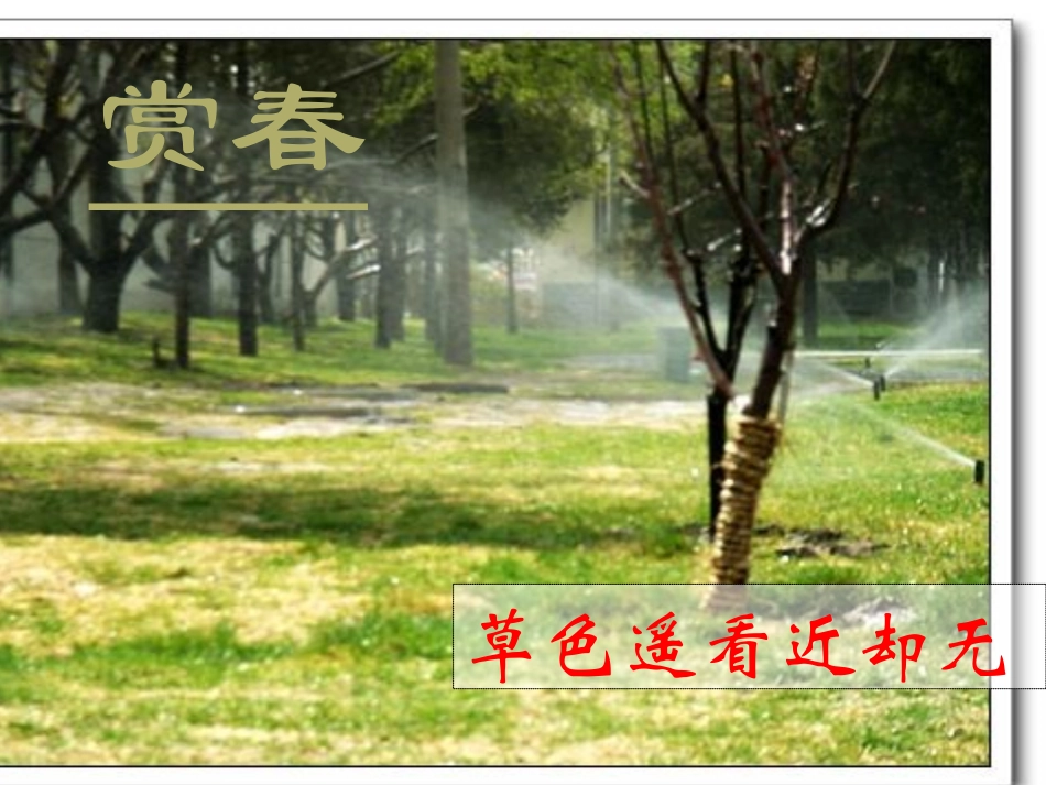 寻觅春天的踪迹2_第2页