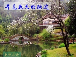 寻觅春天的踪迹2