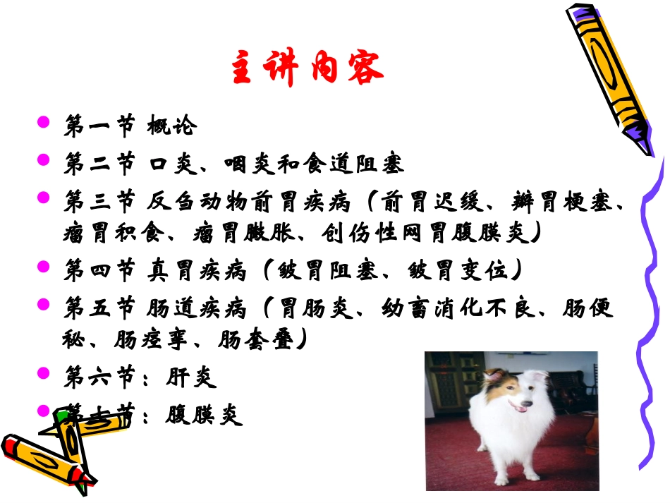 兽医内科学第二章  消化器官疾病(2015年最新)_第2页