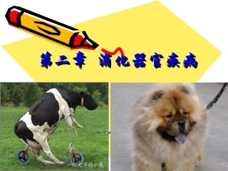 兽医内科学第二章  消化器官疾病(2015年最新)